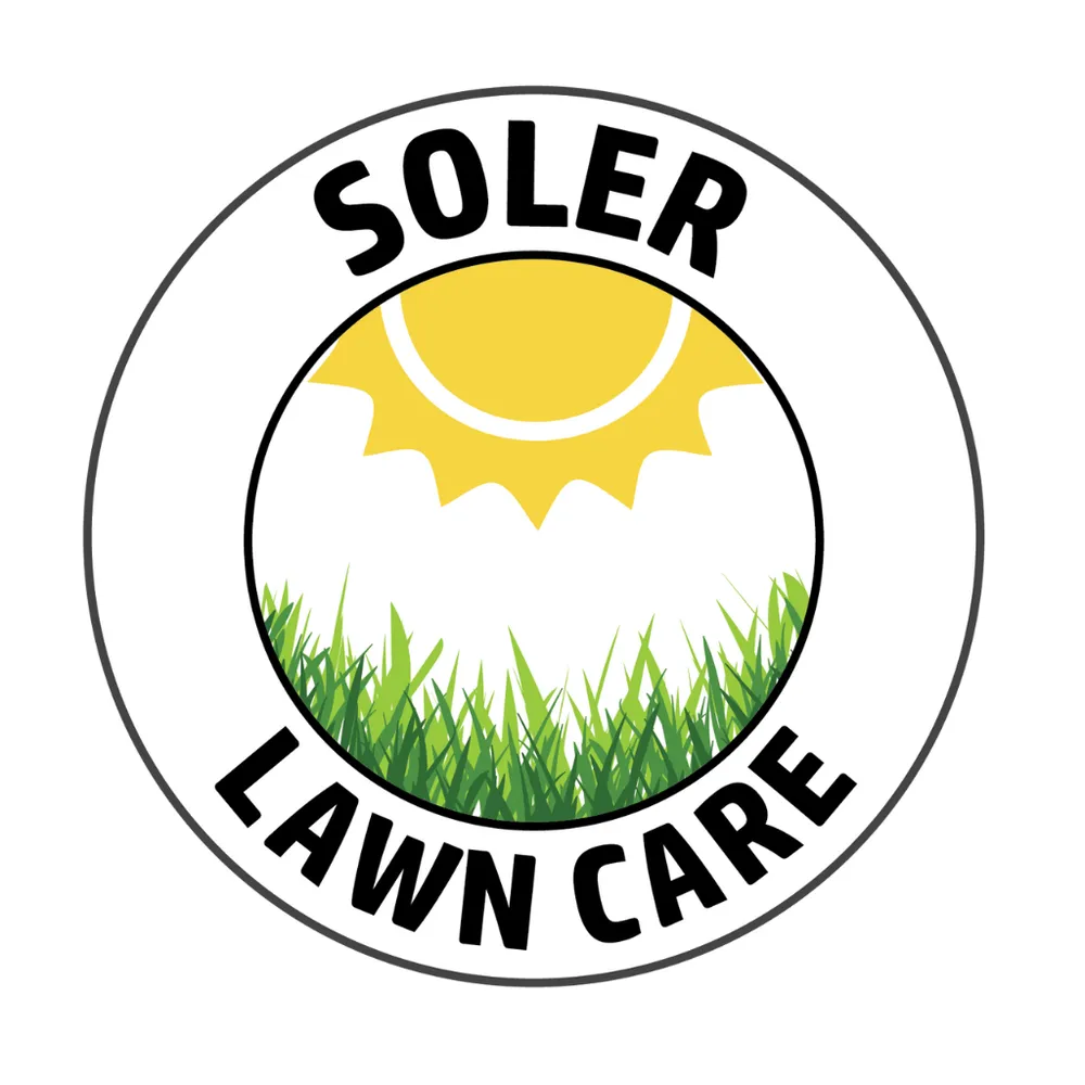 Affordable yard cleanup service for beautiful yards across St. Joseph, MI - Soler Lawn Care