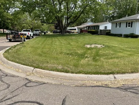 Soler Lawn Care Logo