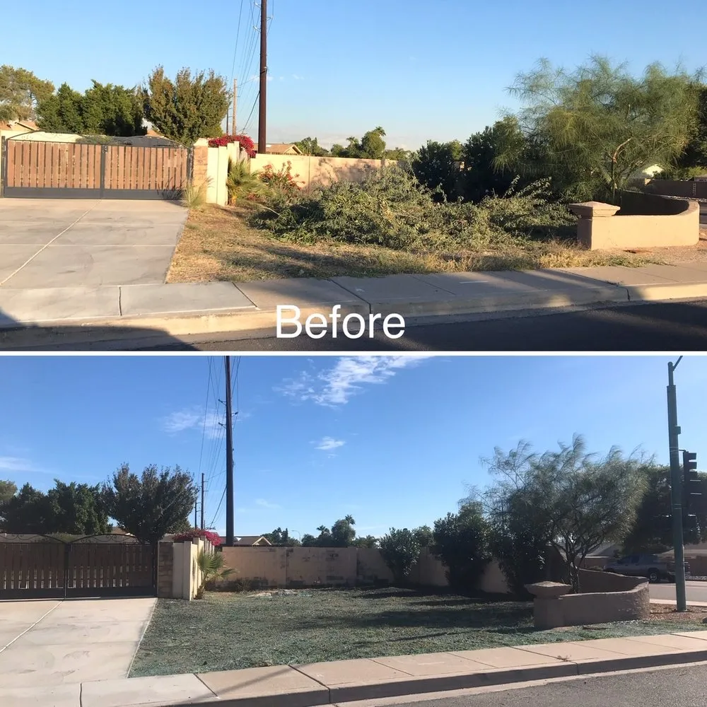 Expert landscape installation in Tempe, AZ - Solera Landscaping