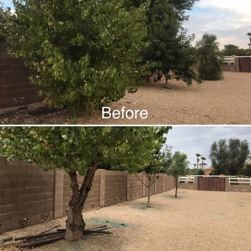 Expert garden landscaping for residential properties across Tempe, AZ - Solera Landscaping