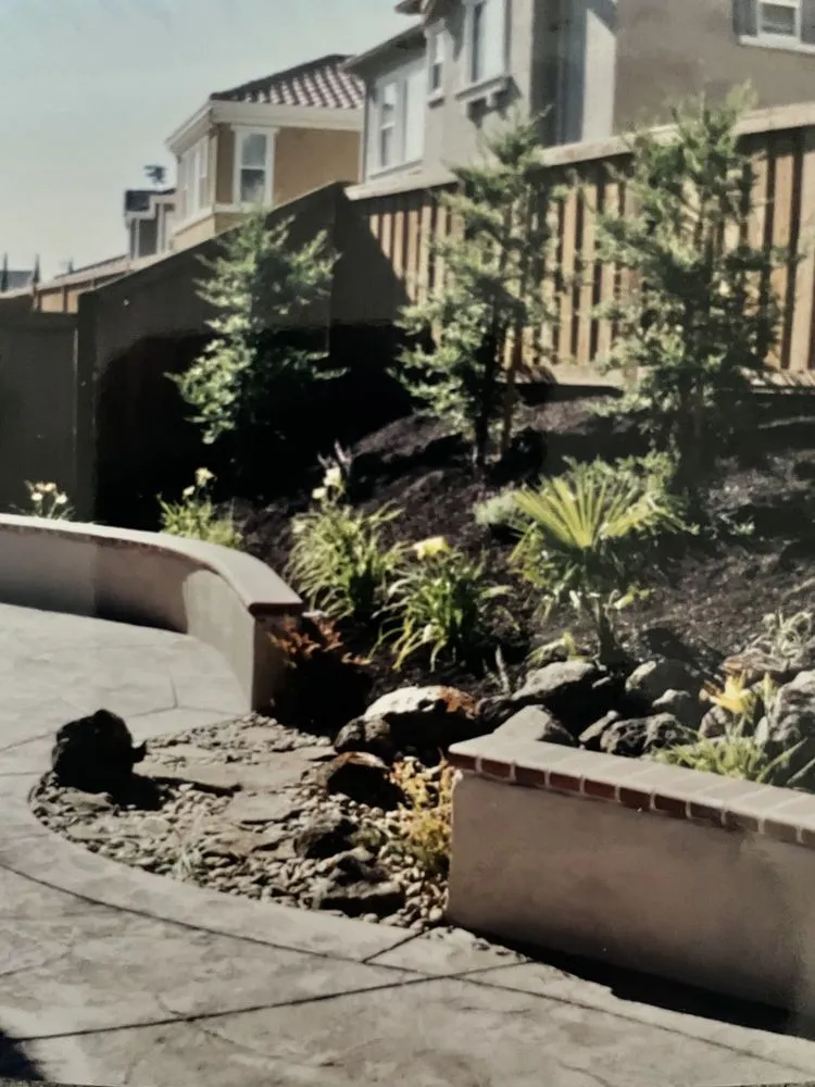 Local garden landscaping experts serving Pleasanton, CA - Solero Landscapings