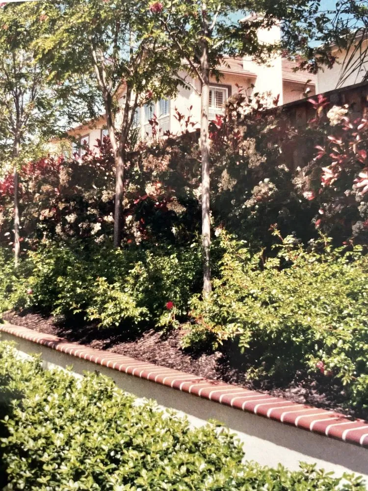 Reliable outdoor landscaping experts serving Pleasanton, CA - Solero Landscapings