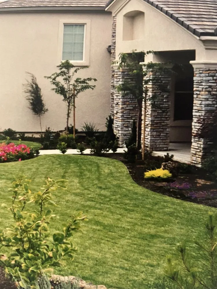 Trusted yard cleanup service in Pleasanton, CA by Solero Landscapings