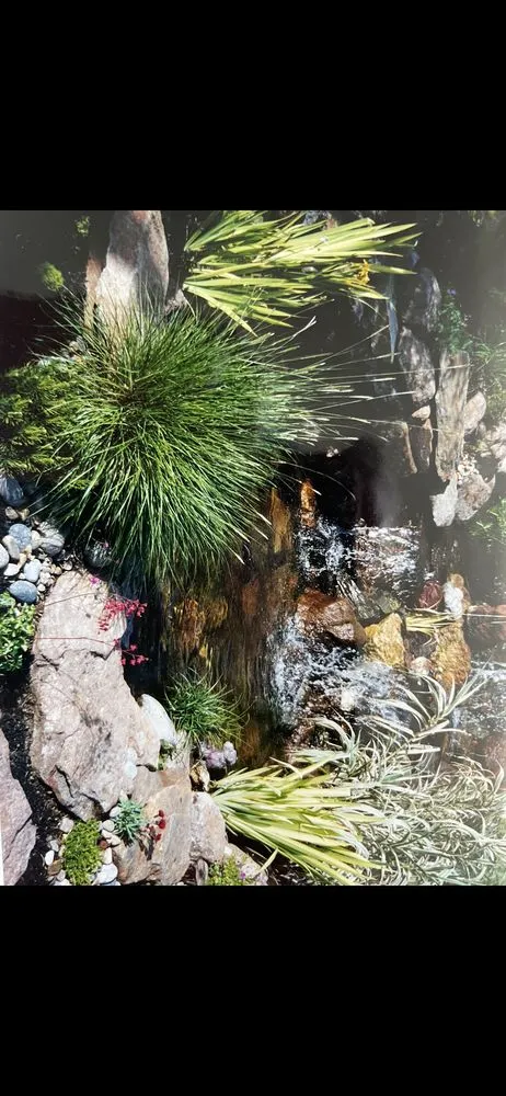 Expert residential landscaping in Pleasanton, CA - Solero Landscapings