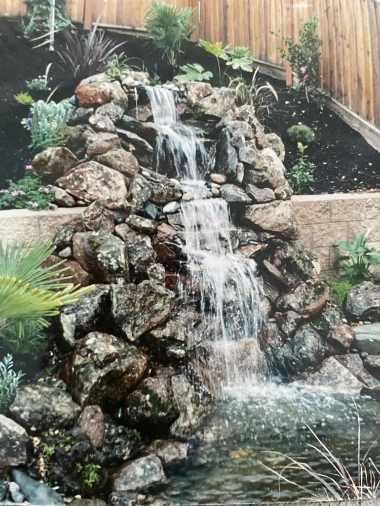 Local landscape installation experts serving Pleasanton, CA - Solero Landscapings