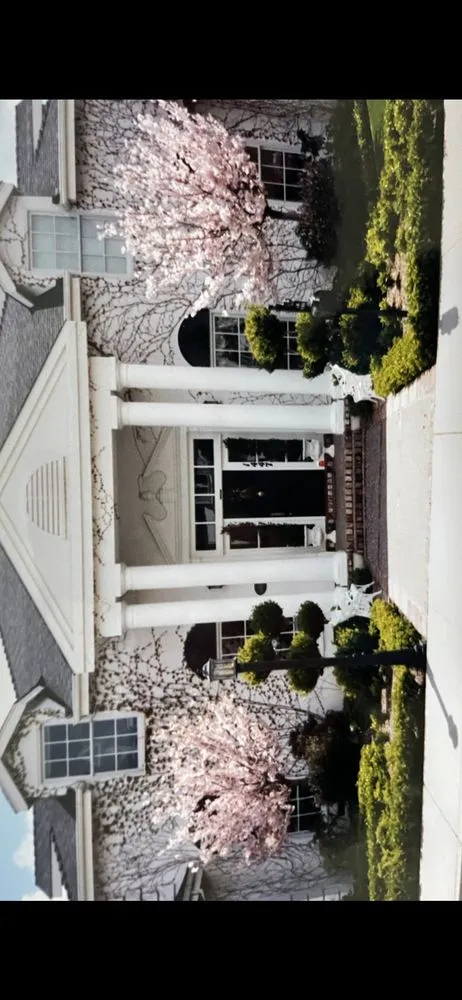 Professional residential landscaping in Pleasanton, CA by Solero Landscapings