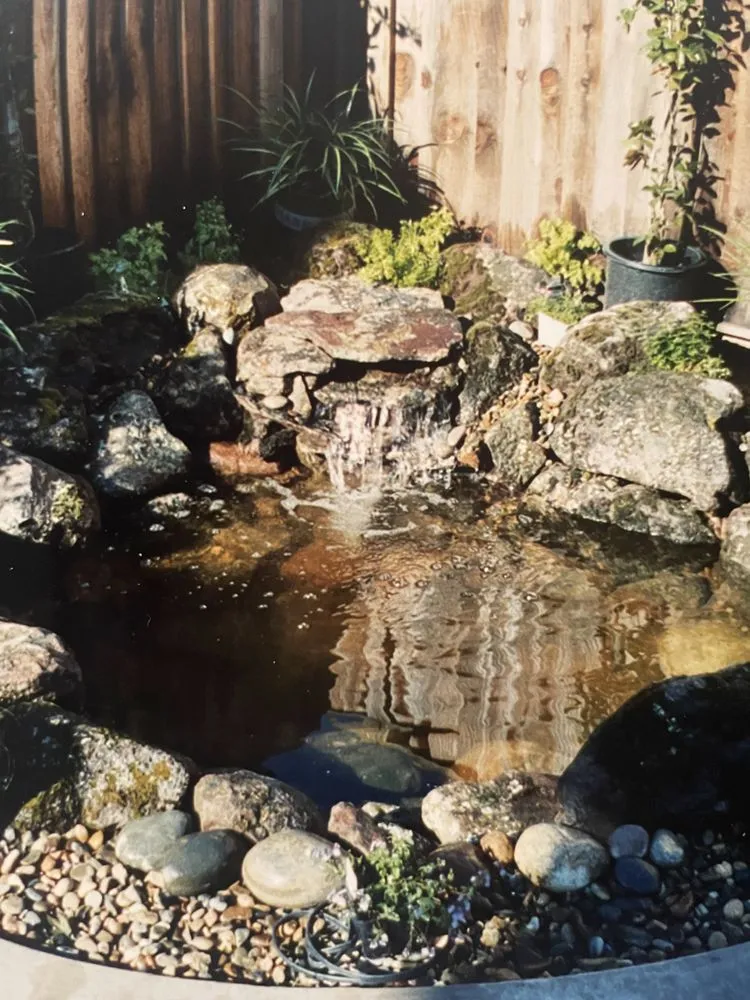 Professional garden landscaping for beautiful yards in Pleasanton, CA by Solero Landscapings