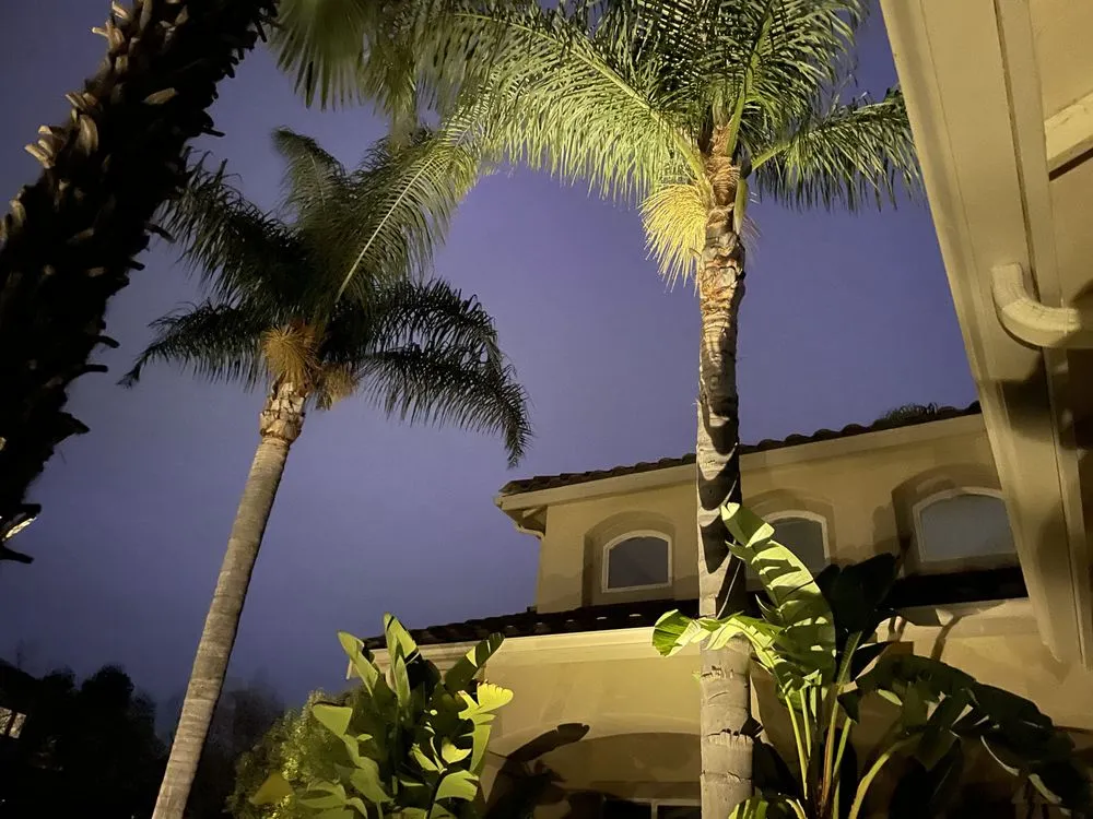 Expert lawn care service in Pleasanton, CA by Solero Landscapings