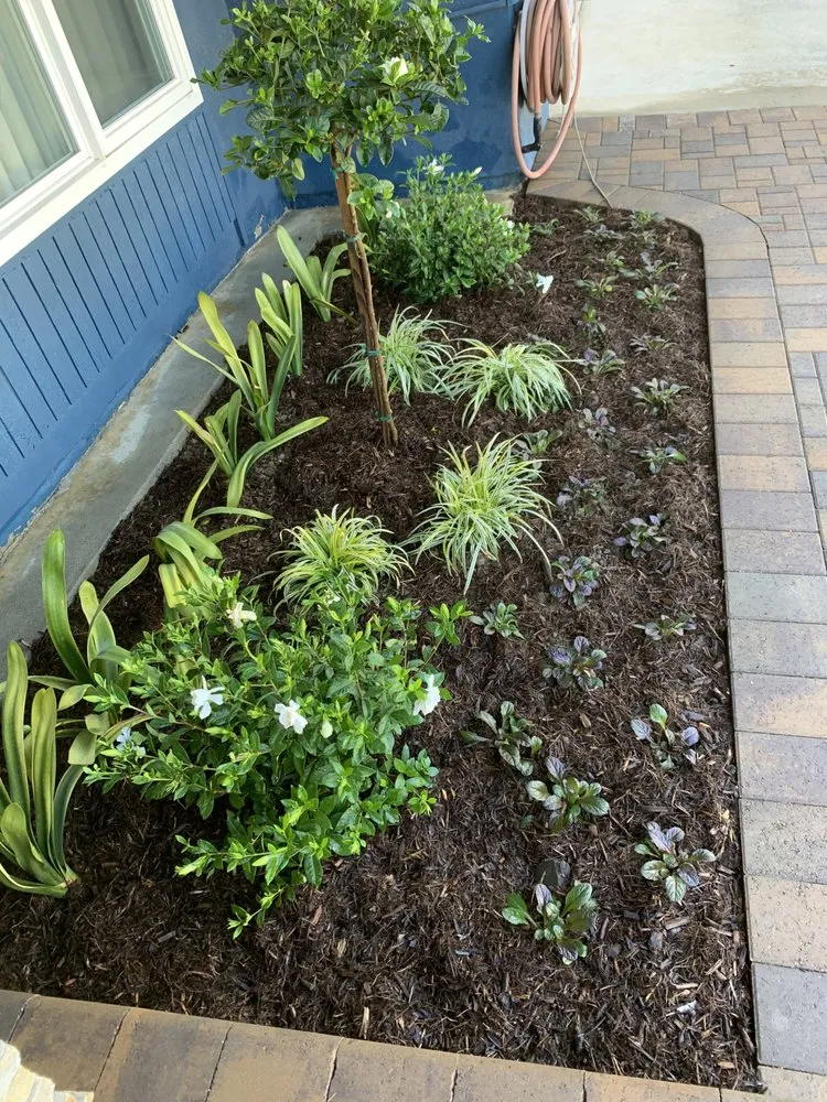 Expert yard maintenance with custom design across La Habra Heights, CA - Solex Landscaping