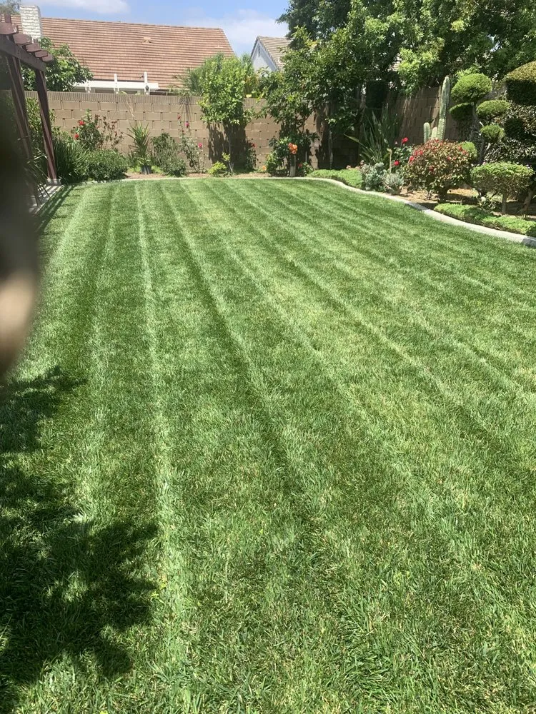 Affordable residential landscaping for residential properties in La Habra Heights, CA by Solex Landscaping