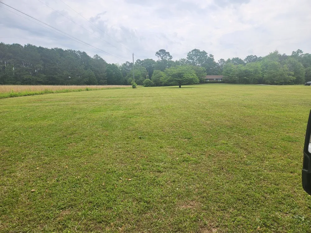 Top-rated yard cleanup service in Snellville, GA by Solgreen Solutions