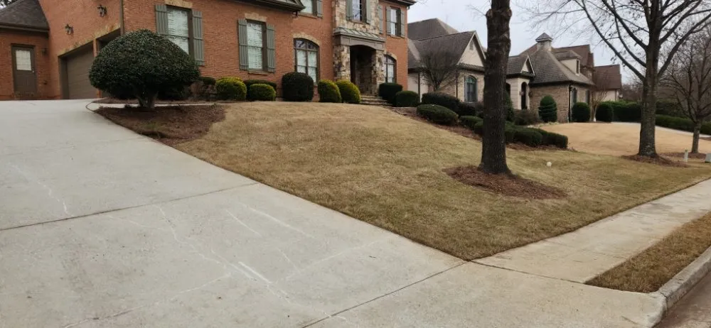 Professional yard cleanup service for beautiful yards across Snellville, GA - Solgreen Solutions