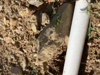 Trusted garden landscaping in Little Rock, AR by Solid As A Rock