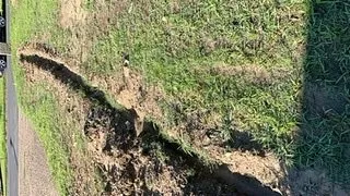 Trusted outdoor landscaping in Little Rock, AR by Solid As A Rock