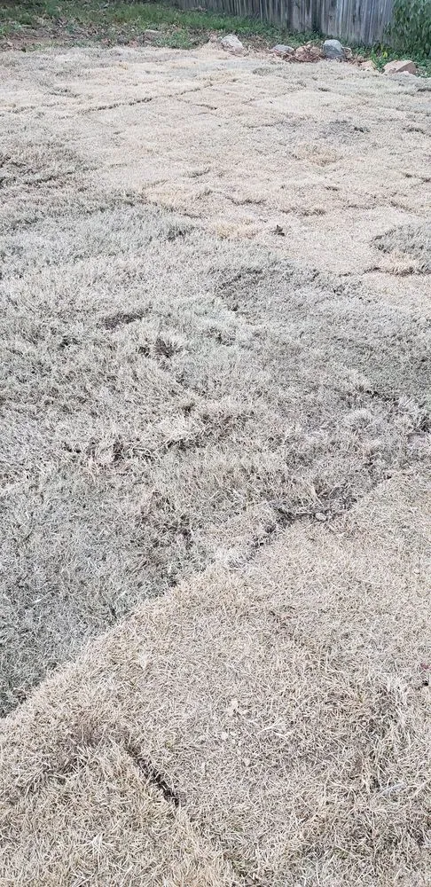 Expert lawn mowing service in Little Rock, AR by Solid As A Rock