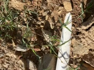 Local yard maintenance experts serving Little Rock, AR - Solid As A Rock