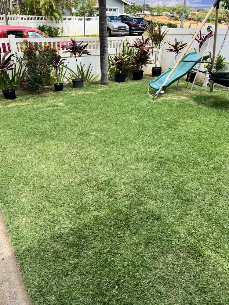 Expert residential landscaping in Waianae, HI - Solid Braddahz Services