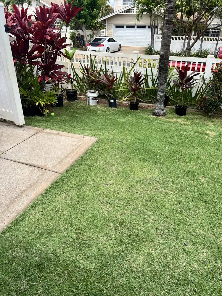 Top-rated residential landscaping for year-round maintenance in Waianae, HI by Solid Braddahz Services