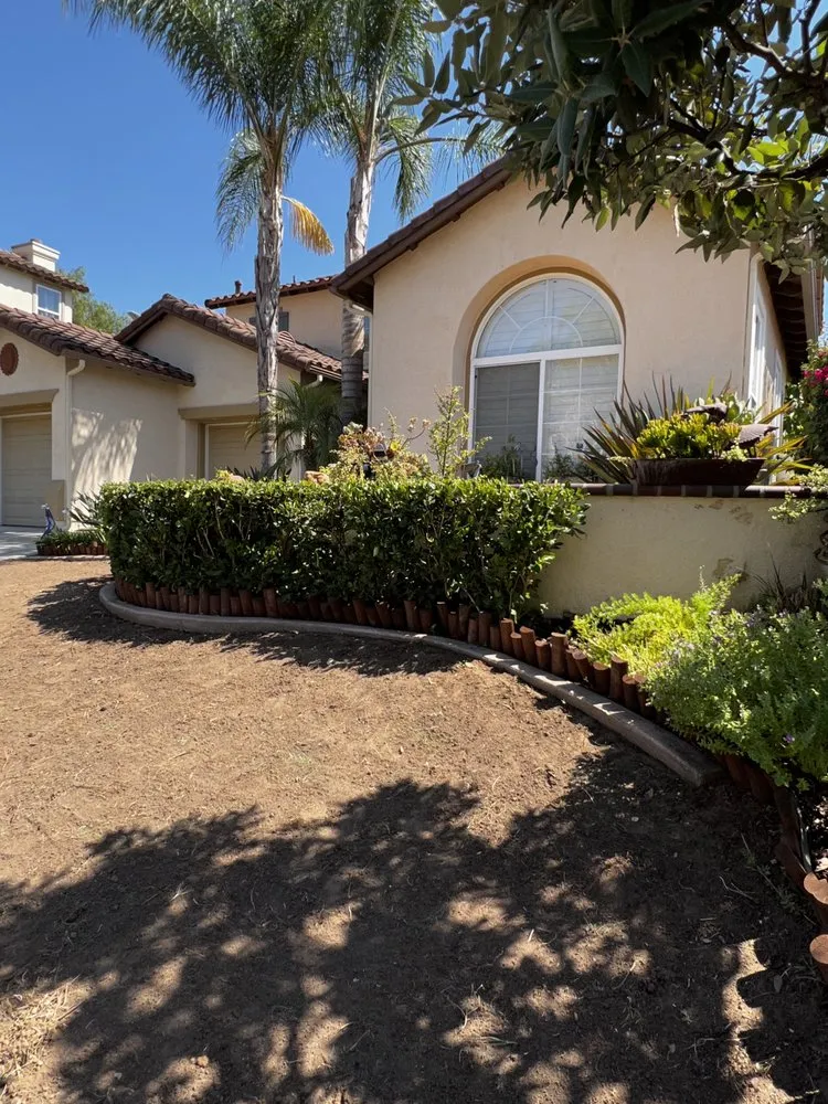 Custom landscape installation in San Diego, CA - Solid Green Construction