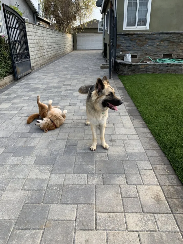 Trusted garden landscaping experts serving San Diego, CA - Solid Green Construction