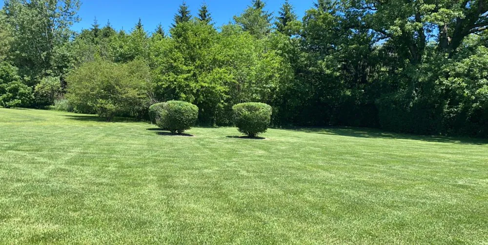 Local landscape design for year-round maintenance in Round Lake Beach, IL by Solid Green Landscape