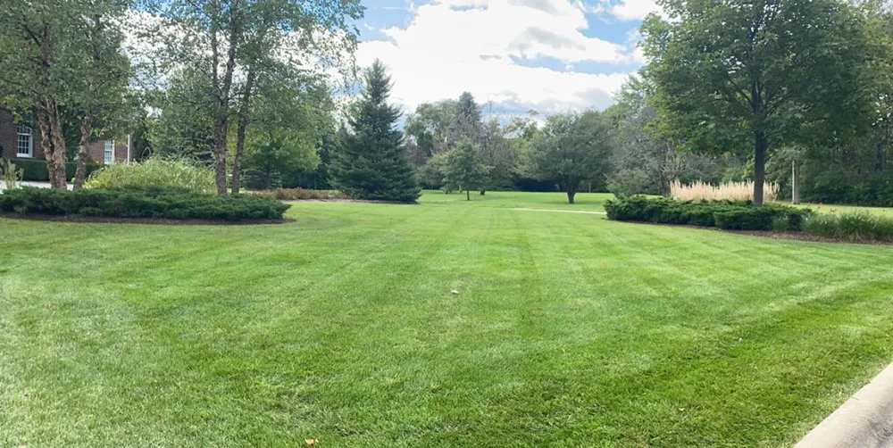 Top-rated garden landscaping in Round Lake Beach, IL - Solid Green Landscape