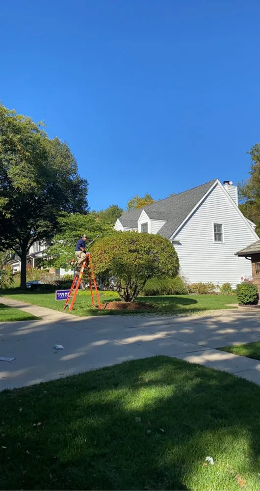 Trusted outdoor landscaping with custom design across Round Lake Beach, IL - Solid Green Landscape