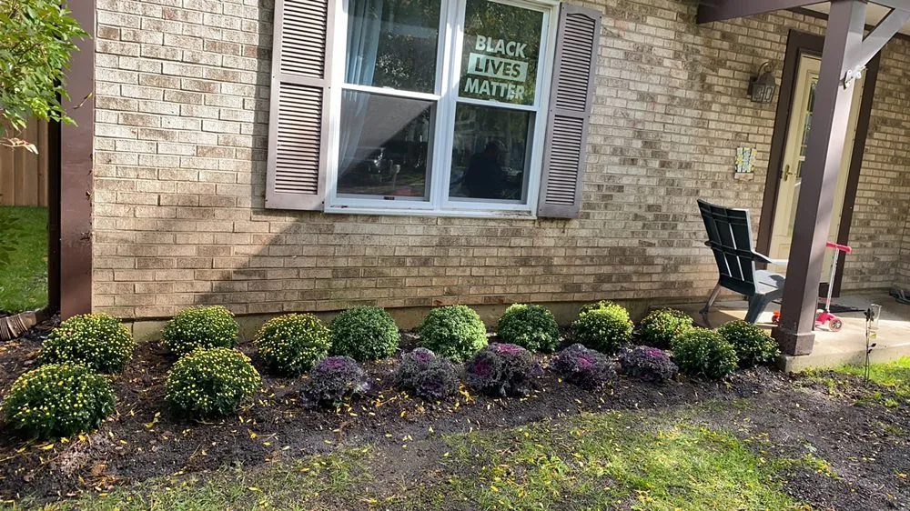 Professional landscape design in Round Lake Beach, IL - Solid Green Landscape