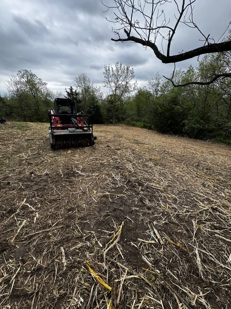 Affordable residential landscaping for year-round maintenance across Grain Valley, MO - Solid Ground Land and Excavation Services