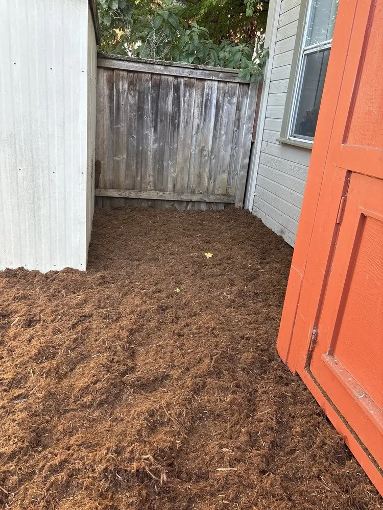 Affordable yard maintenance near you in Oakland, CA by Solid Ground Landscaping
