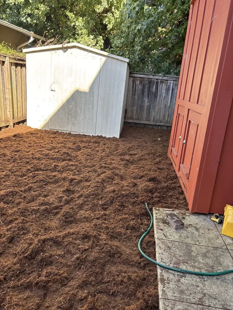 Top-rated yard maintenance near you in Oakland, CA by Solid Ground Landscaping