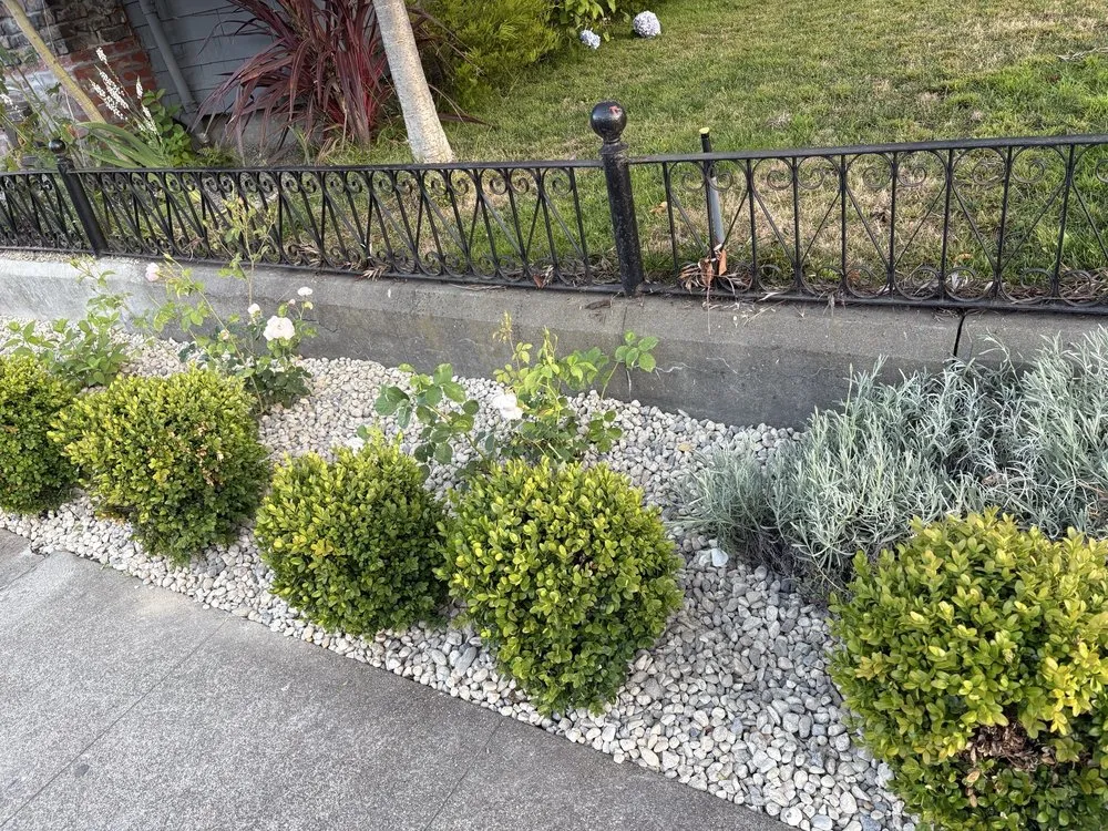 Local garden landscaping for homes across Oakland, CA - Solid Ground Landscaping