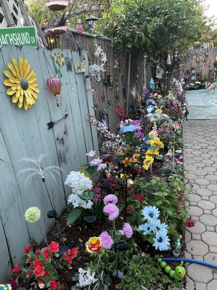 Expert lawn mowing service for outdoor upgrades across Oakland, CA - Solid Ground Landscaping