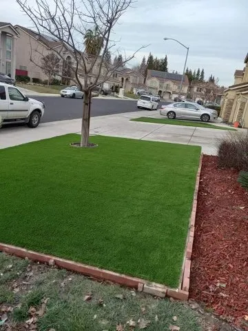 Top-rated lawn care service experts serving Oakland, CA - Solid Ground Landscaping