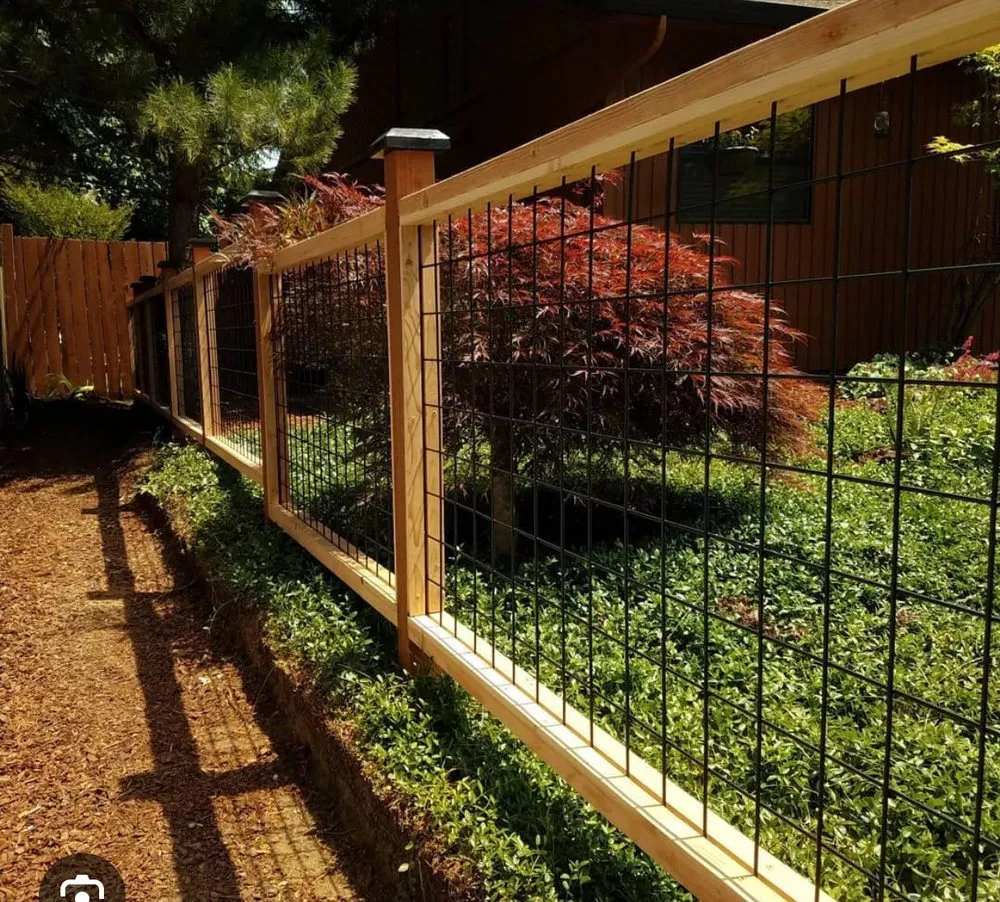 Local landscape design in Oakland, CA by Solid Ground Landscaping