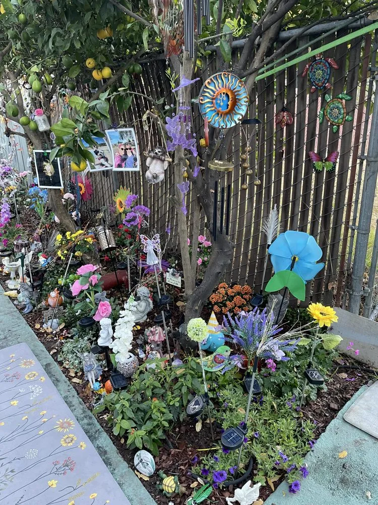 Reliable landscape installation in Oakland, CA - Solid Ground Landscaping