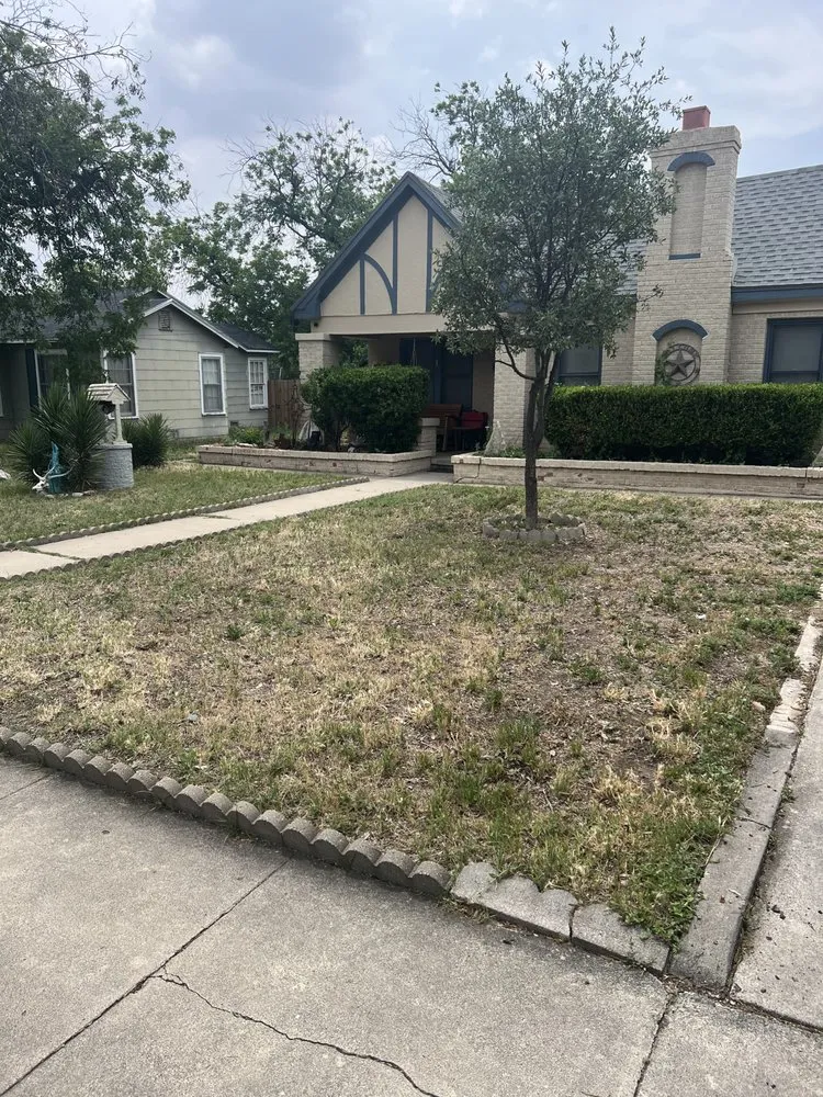 Trusted yard cleanup service experts serving San Angelo, TX - Solid Ground Lawnscaping