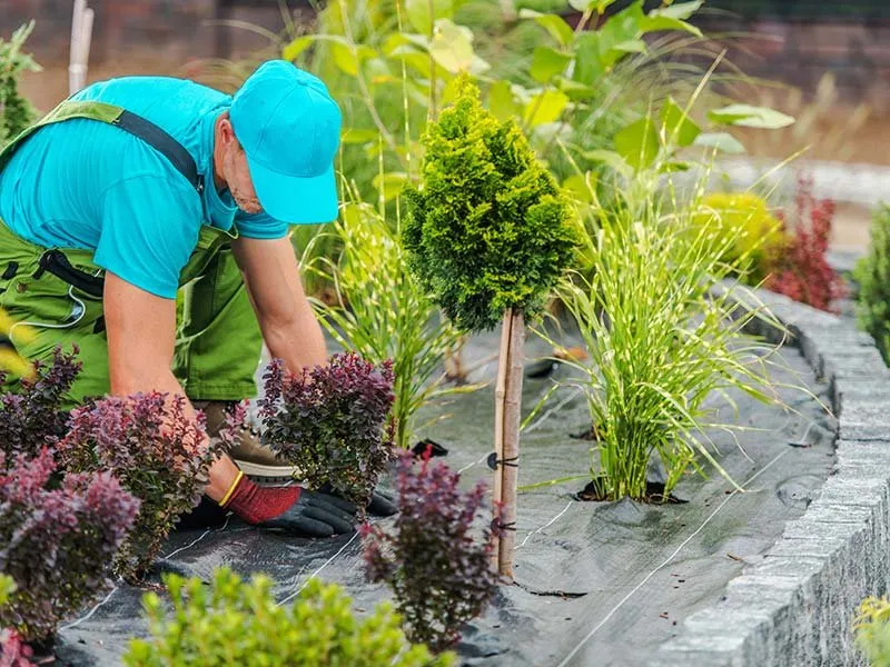 Affordable landscaping services for residential properties across Long Branch, NJ - Solid Ground Masonry