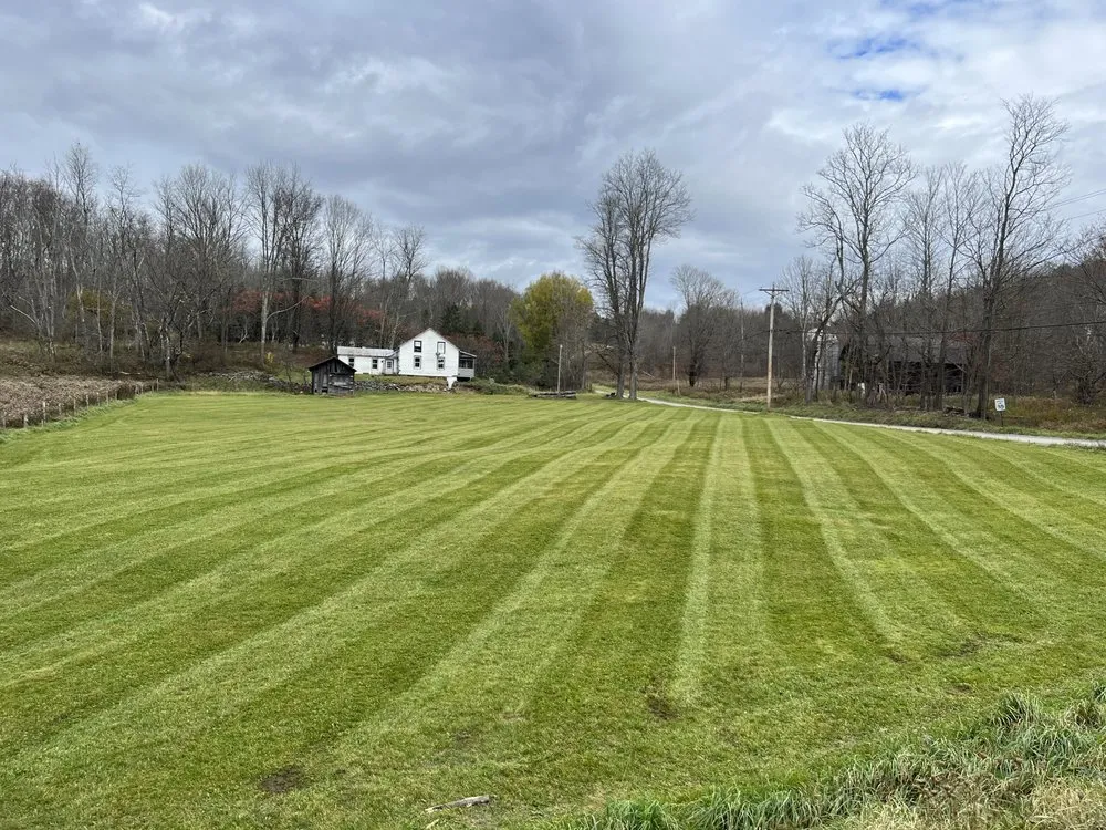 Reliable landscaping services for homes across Susquehanna, PA - Solid Ground Property Resolution’s