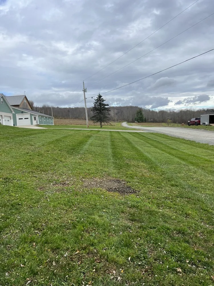 Trusted garden landscaping experts serving Susquehanna, PA - Solid Ground Property Resolution’s