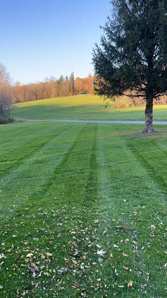 Local residential landscaping experts serving Susquehanna, PA - Solid Ground Property Resolution’s