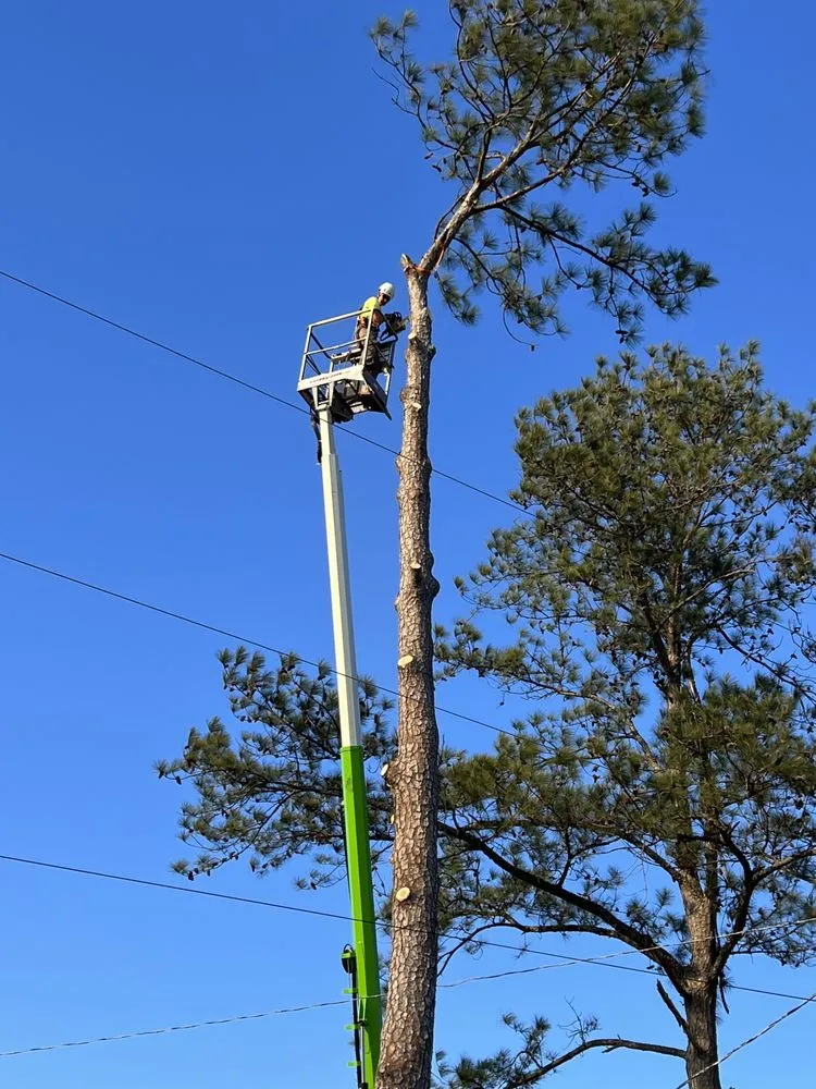 Local landscape installation for outdoor upgrades across Headland, AL - Solid Ground Tree & Property Services