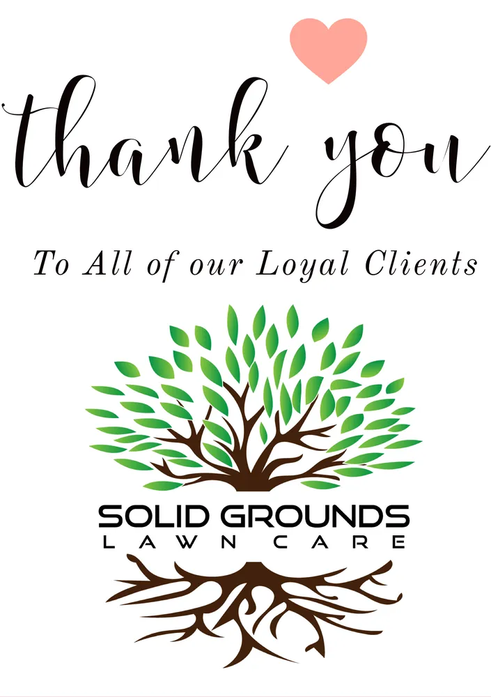 Expert yard cleanup service in Fredericksburg, VA by Solid Grounds Lawn Care