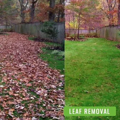 Trusted yard cleanup service in Fredericksburg, VA - Solid Grounds Lawn Care