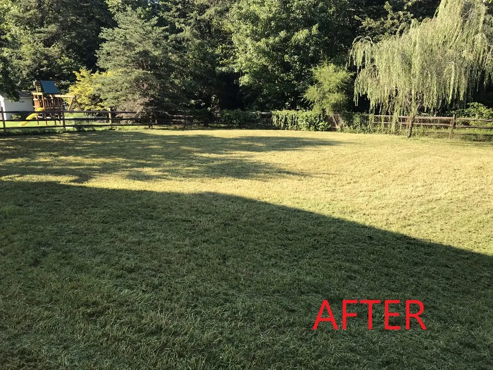 Trusted residential landscaping experts serving Fredericksburg, VA - Solid Grounds Lawn Care