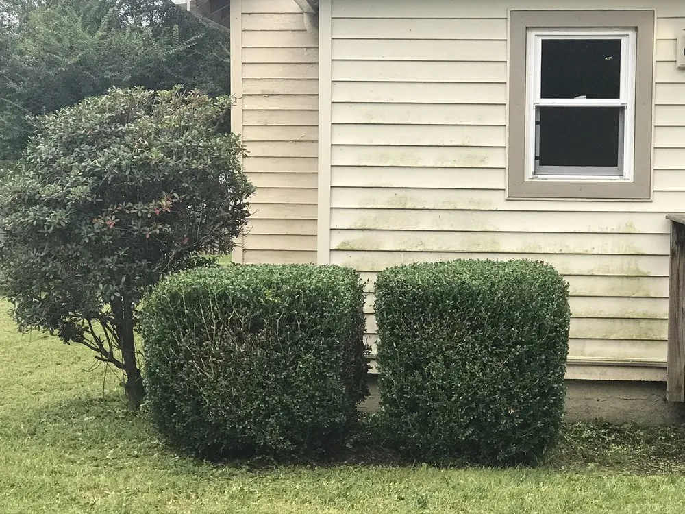 Reliable landscaping services experts serving Fredericksburg, VA - Solid Grounds Lawn Care