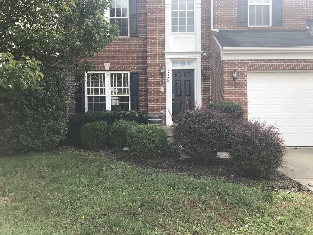 Top-rated landscaping services for beautiful yards across Fredericksburg, VA - Solid Grounds Lawn Care