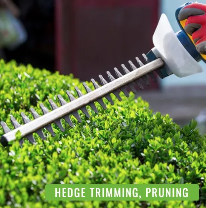 Top-rated lawn care service with custom design in Fredericksburg, VA by Solid Grounds Lawn Care