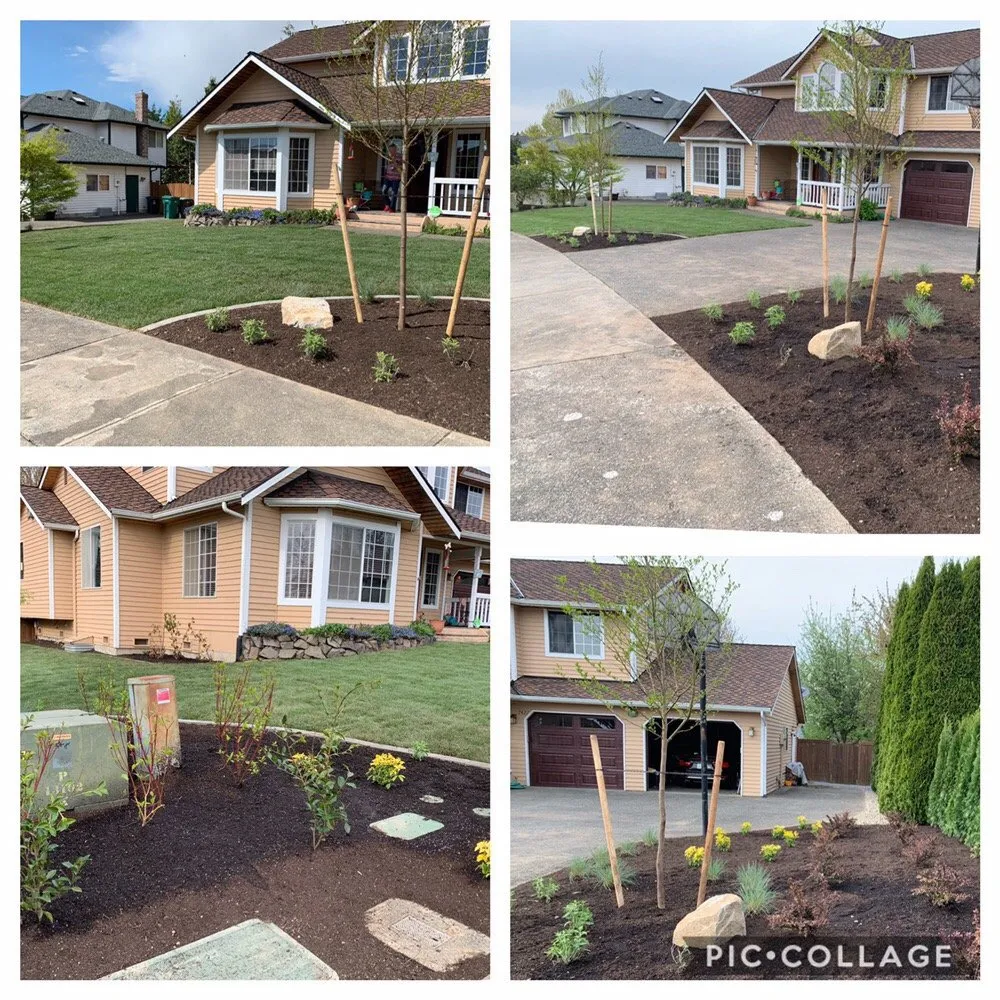 Expert yard cleanup service experts serving Redmond, WA - Solid Landscape Services