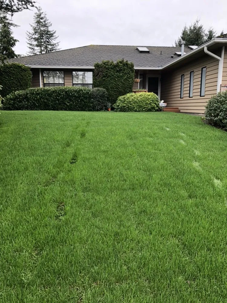 Top-rated yard cleanup service for beautiful yards across Redmond, WA - Solid Landscape Services